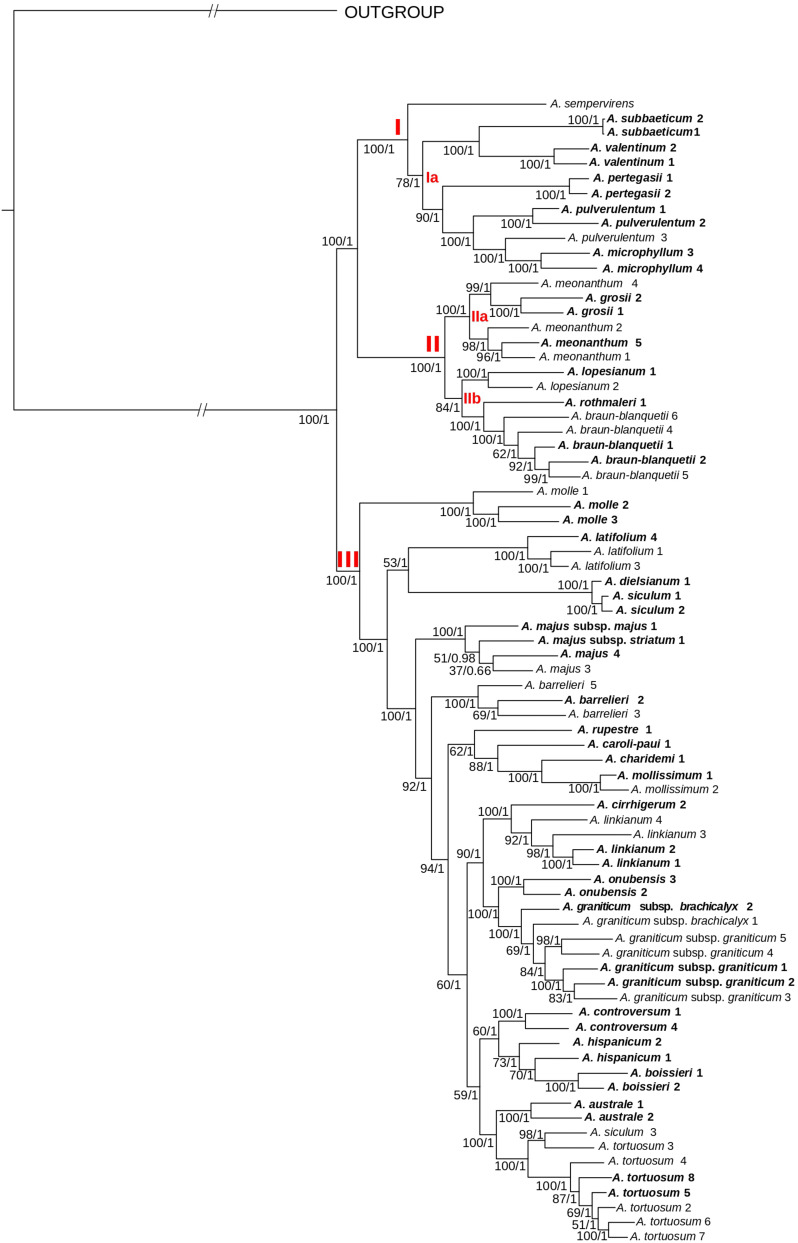 FIGURE 3