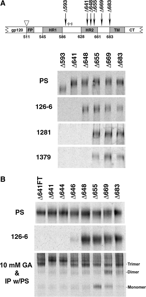 FIG. 3.