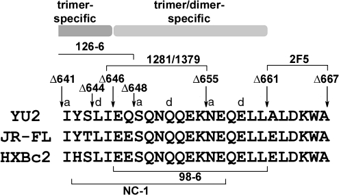 FIG. 5.