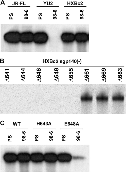 FIG. 6.