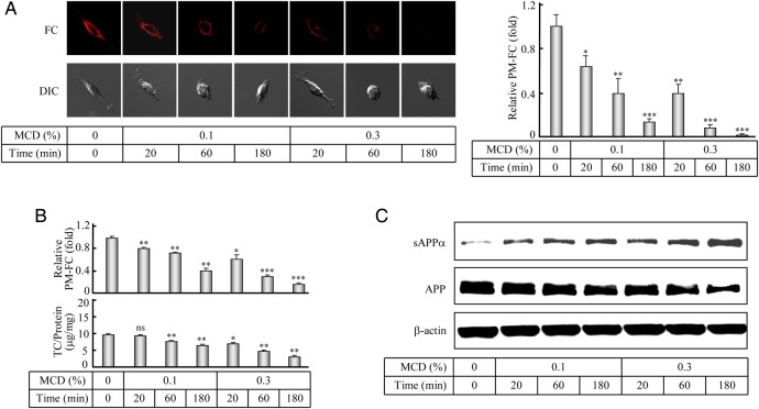 Figure 4.