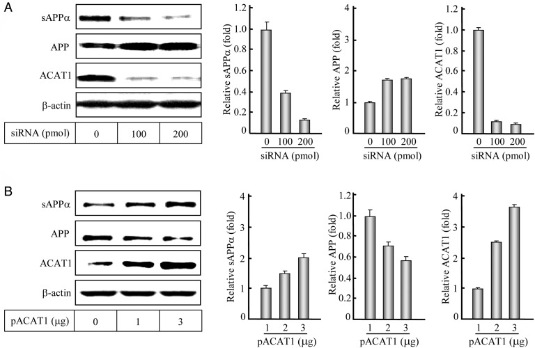 Figure 2.