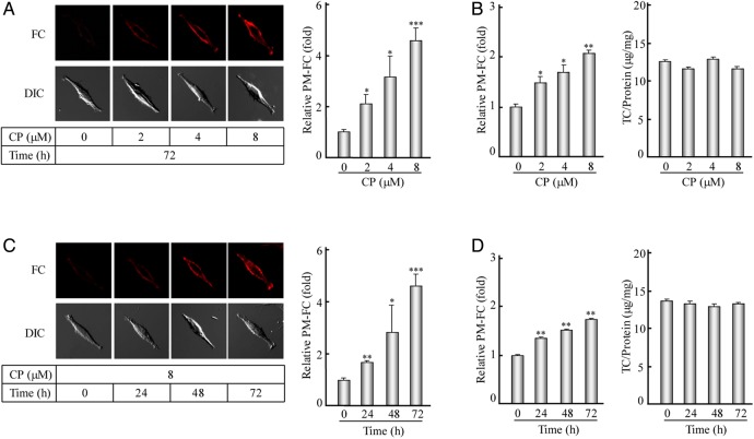 Figure 3.