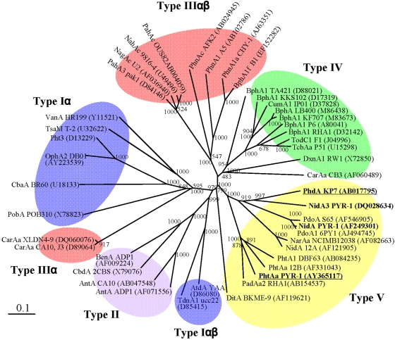 FIG 1