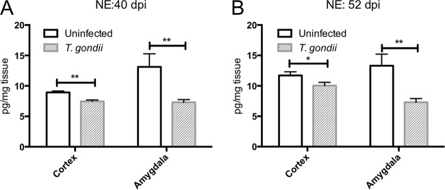 FIG 6