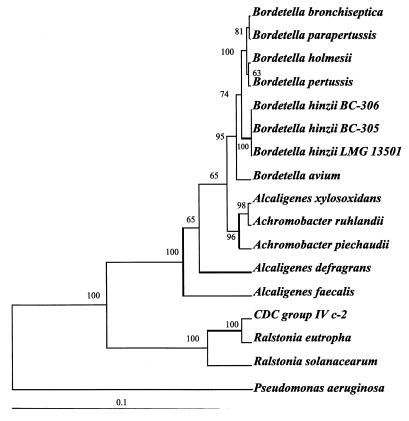 FIG. 1