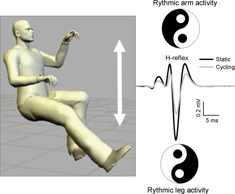 Fig. 3