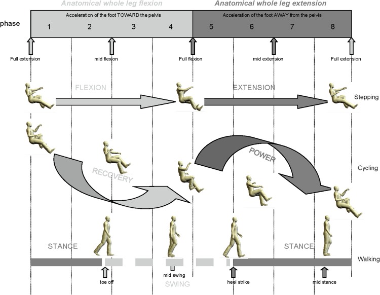 Fig. 6