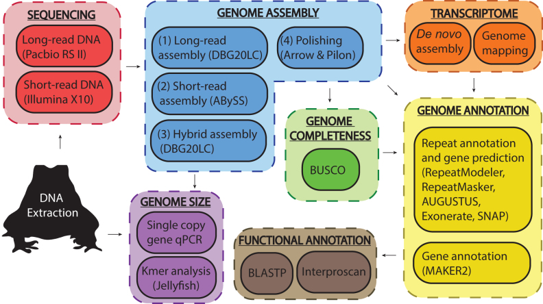 Figure 2: