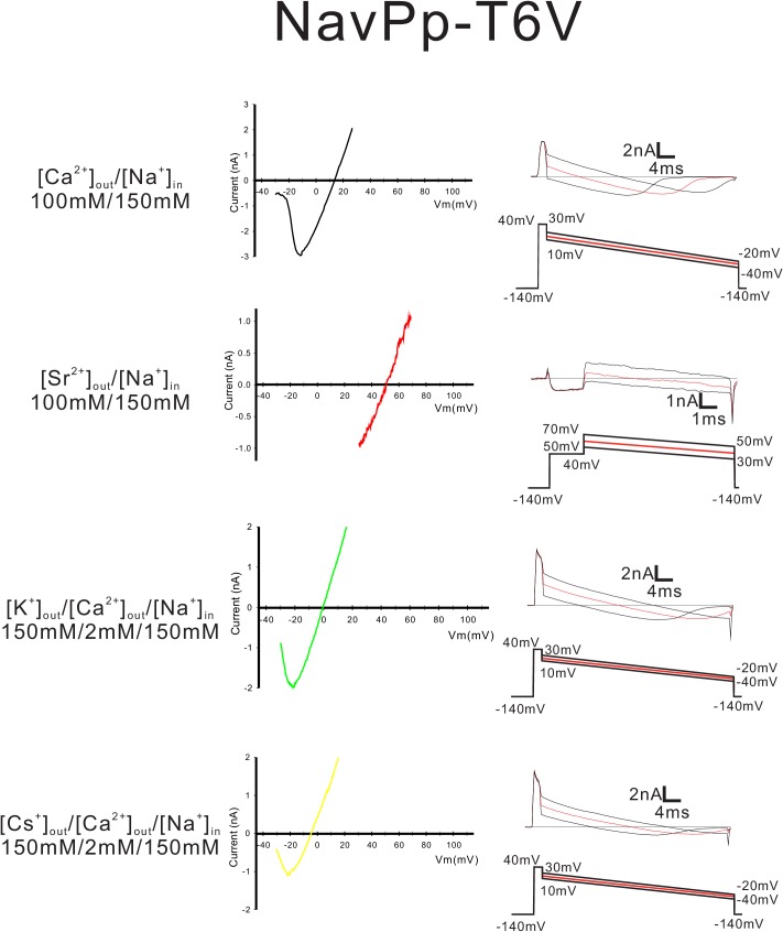 Figure 8—figure supplement 5.