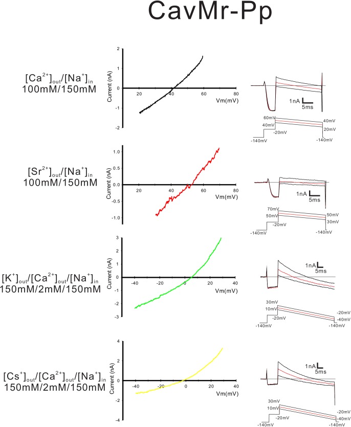 Figure 7—figure supplement 2.