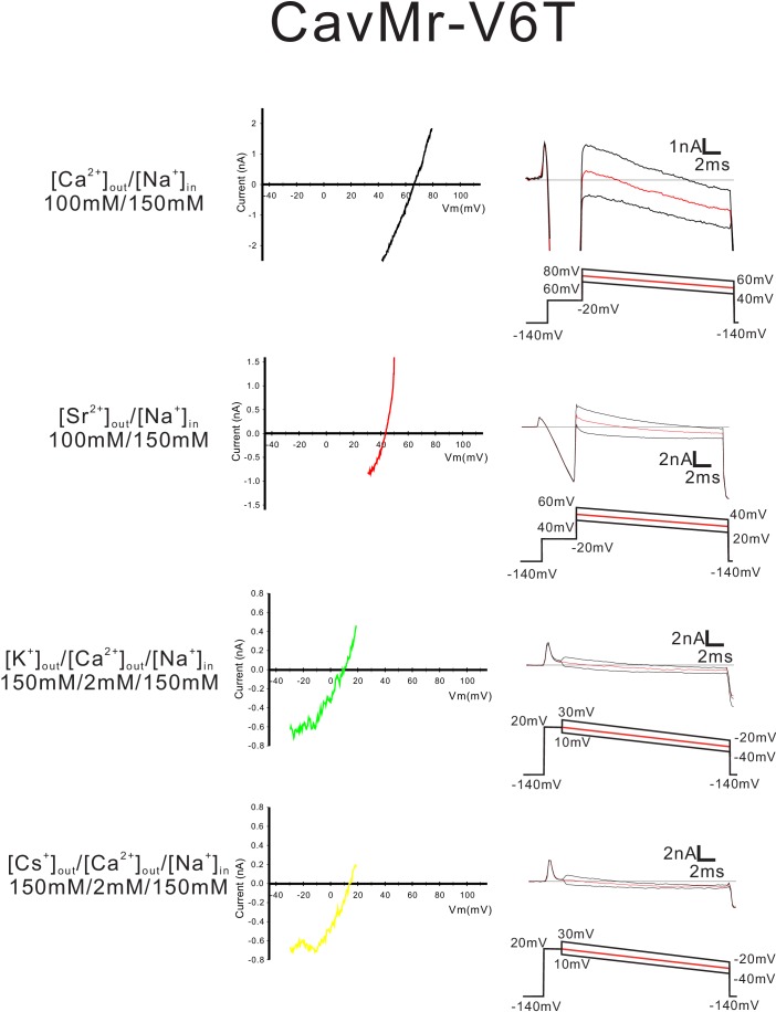 Figure 8—figure supplement 2.