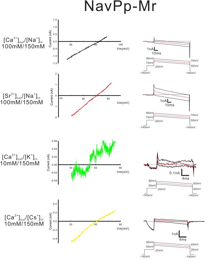 Figure 7—figure supplement 1.