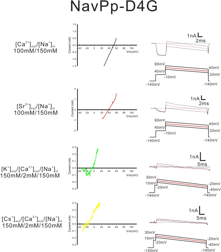 Figure 8—figure supplement 4.