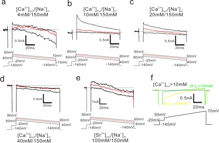 Figure 3—figure supplement 1.