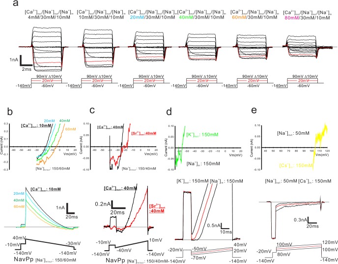 Figure 6—figure supplement 1.