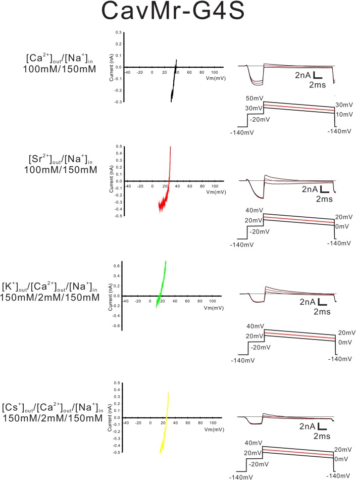 Figure 8—figure supplement 3.