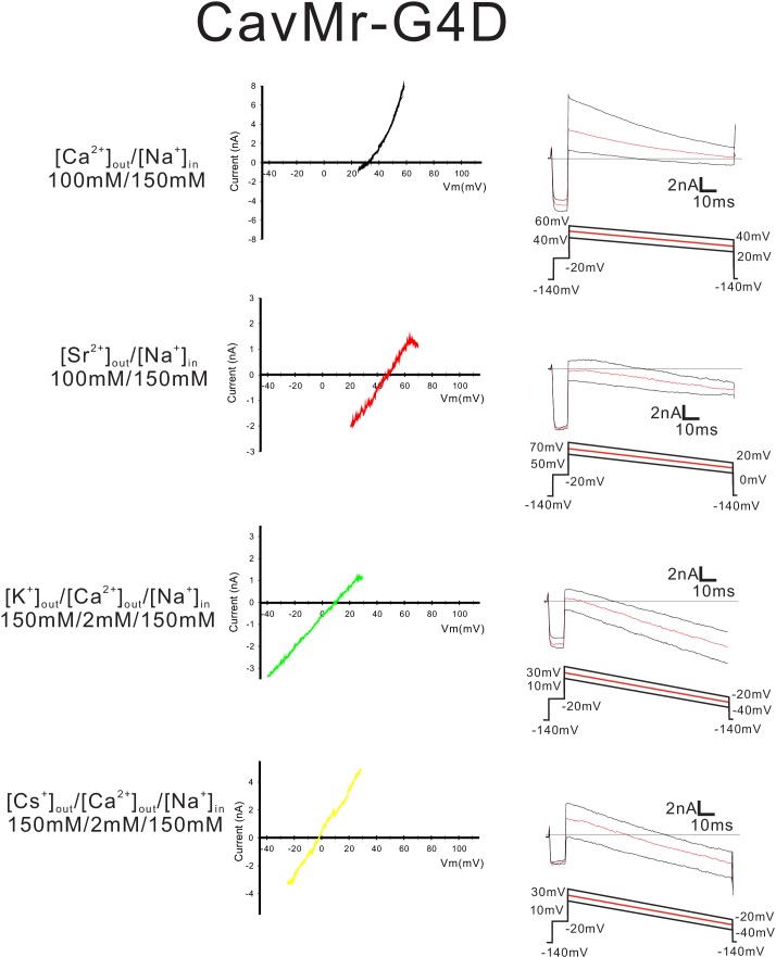 Figure 8—figure supplement 1.