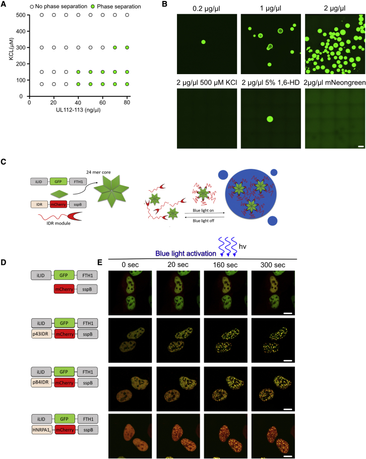 Figure 3