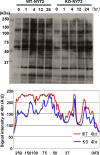 FIG. 4.