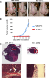 FIG. 7.