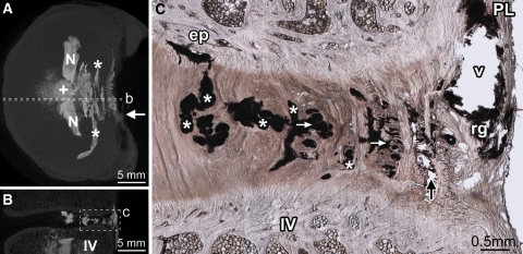 Fig. 2