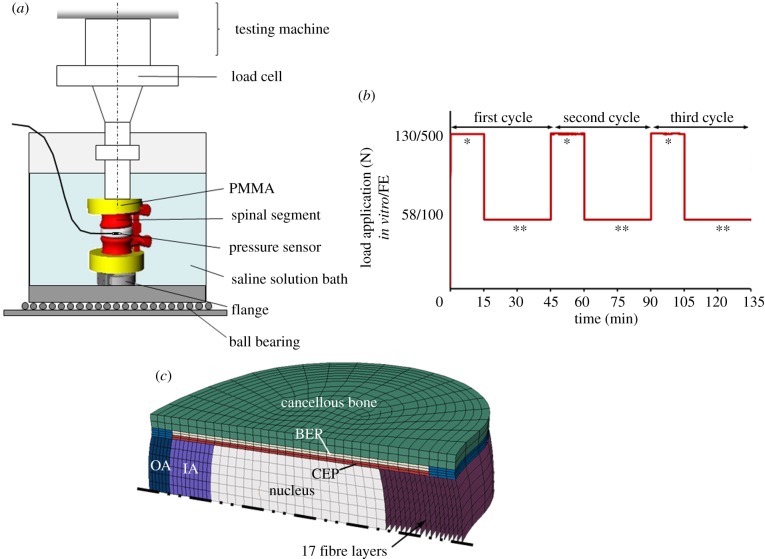 Figure 1.