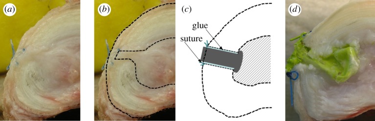 Figure 4.