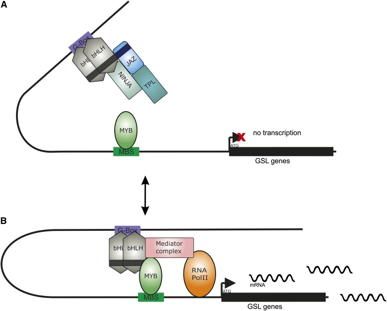 Figure 10.