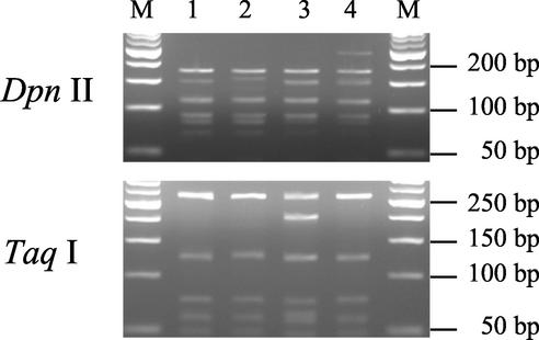 FIG. 7.