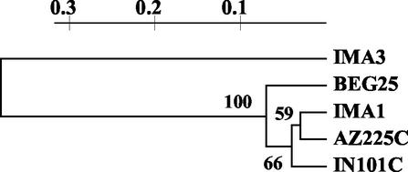 FIG. 8.