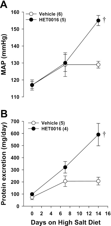 Fig. 10.