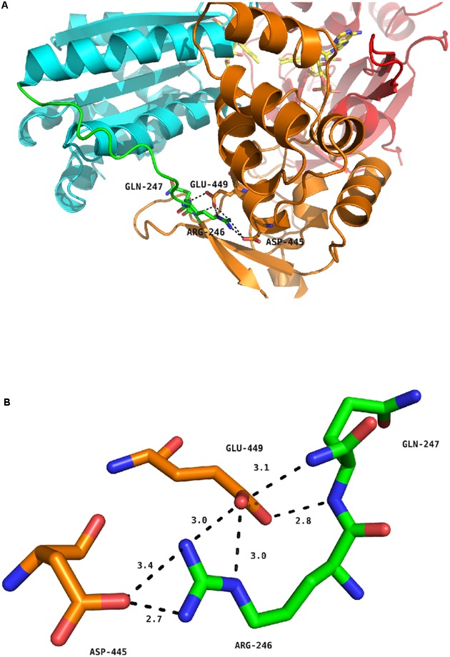 FIGURE 5