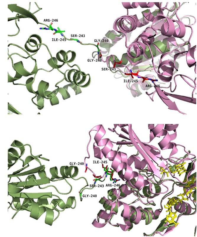 FIGURE 2