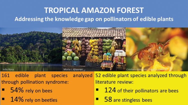 Graphical Abstract