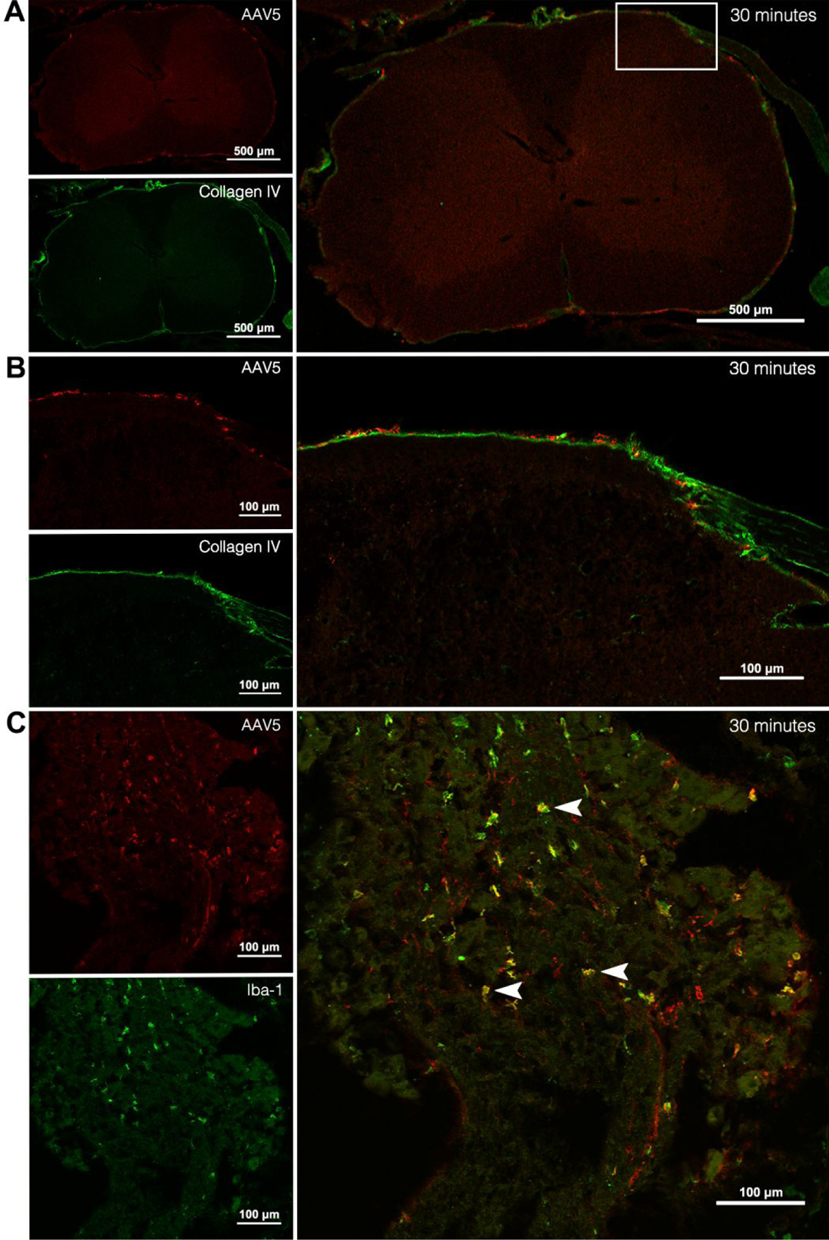 Figure 3.