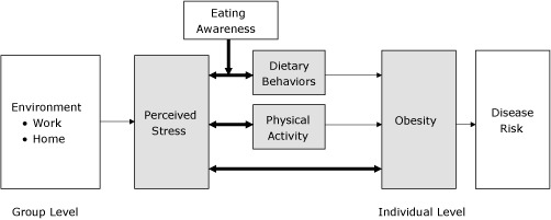 Flow chart Our analysis evaluated cross-sectional associations between perceived stress and dietary behaviors and physical activity. We hypothesized that differences in eating behavior associated with stress were dependent on eating awareness. We also evaluated an overall association of perceived stress with obesity. At the group level, environmental factors at work and home contribute to perceived stress. At the individual level, obesity can lead to disease risk.