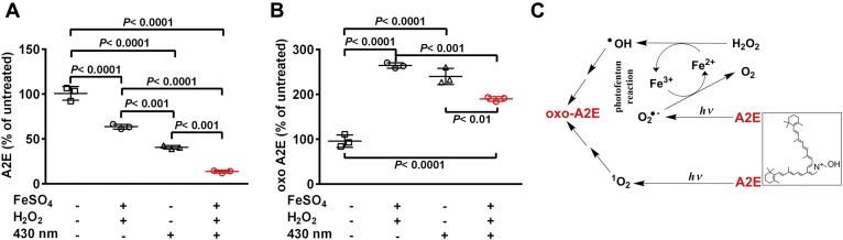 Figure 3