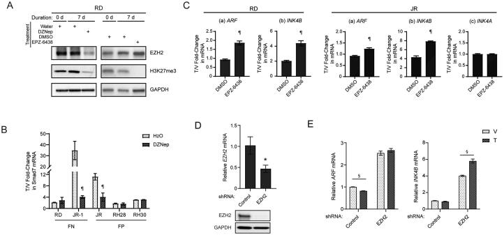 FIG 3