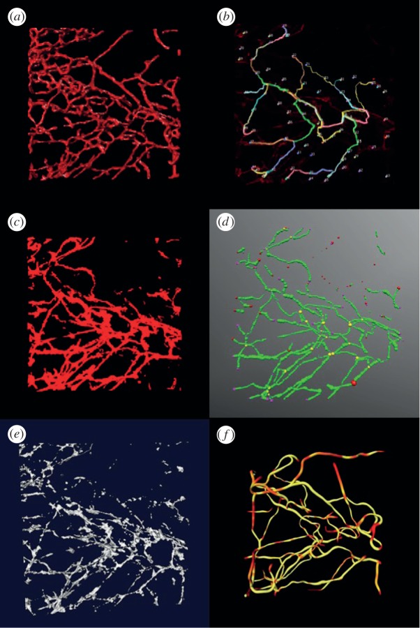 Figure 6.