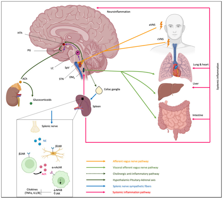 Figure 7