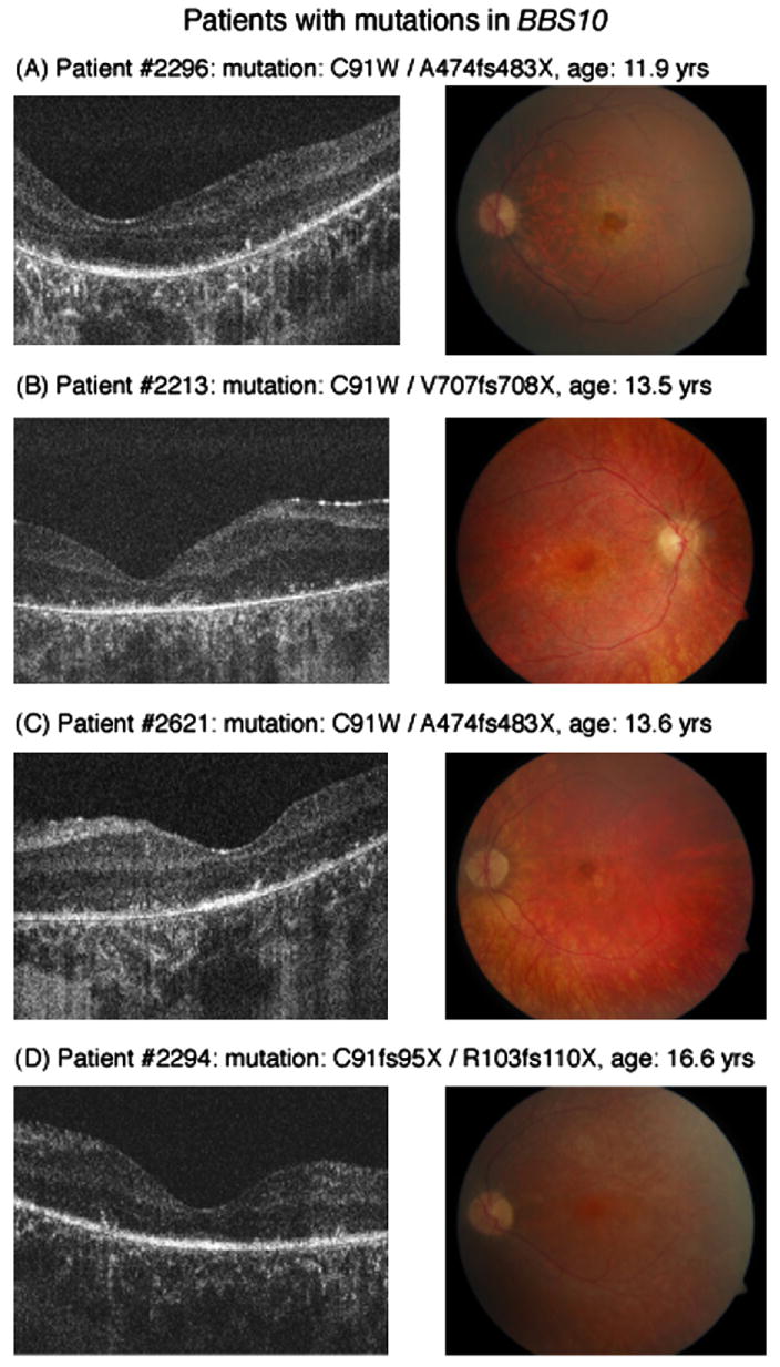 Fig. 3