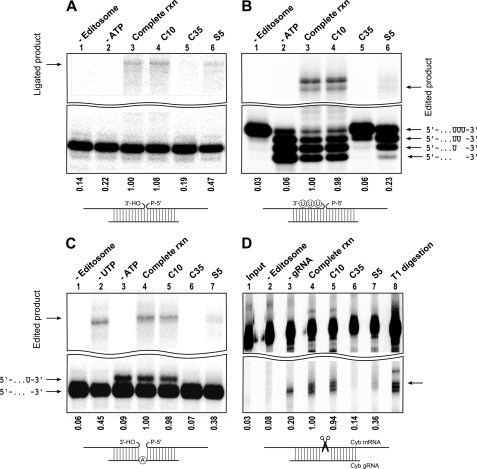 FIGURE 4.