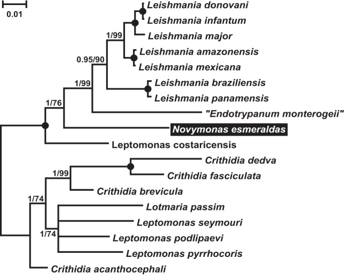 FIG 3 