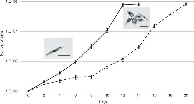 FIG 1 