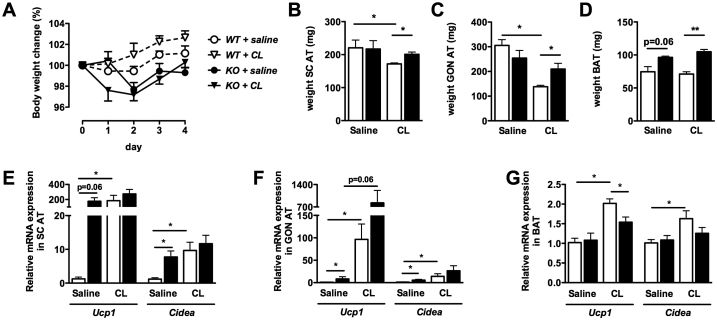 Figure 6