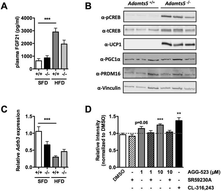 Figure 5