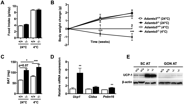 Figure 7