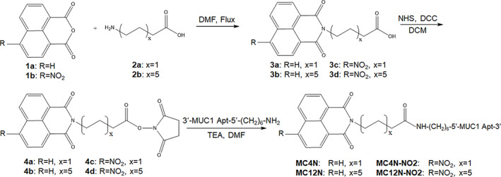 SCHEME 1