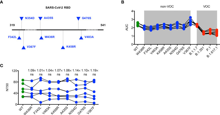 Figure 2